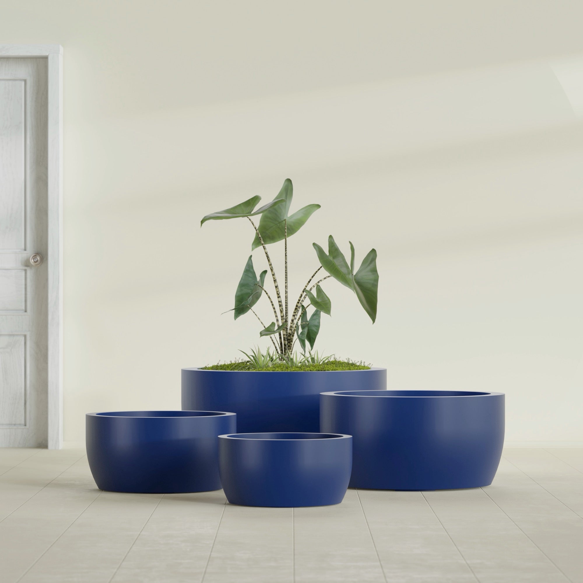 Casablanca Medium Round Low Bowl Fiberglass Planter - 20 in x 20 in x 10 in - Matte Cobalt Blue - Matte Cobalt Blue,20 in x 20 in x 10 in