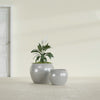 Fishbowl Small Round Fiberglass Planter - 16 in x 16 in x 14 in - Metallic Silver - Metallic Silver,16 in x 16 in x 14 in