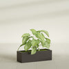 Reade Small Tabletop Rectangle Fiberglass Planter - 14 in x 5 in x 4.3 in - Matte Brown - Matte Brown,14 in x 5 in x 4.3 in