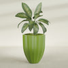 Alicante Medium Round Fiberglass Planter - 26 in x 26 in x 32 in - Satin Green - Satin Green,26 in x 26 in x 32 in