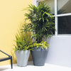 Rim with TruDrop™ Self-Watering - 18in diam. x 18in