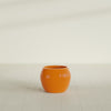 Fishbowl Small Round Fiberglass Planter - 16 in x 16 in x 14 in - Gloss Tangerine - Gloss Tangerine,16 in x 16 in x 14 in