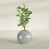 Globe Medium Sphere Fiberglass Planter - 24 in x 24 in x 19 in - Metallic Silver - Metallic Silver,24 in x 24 in x 20 in