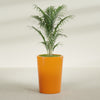 Tegel Large Round Fiberglass Planter - 22 in x 22 in x 30 in - Gloss Tangerine - Gloss Tangerine,22 in x 22 in x 30 in