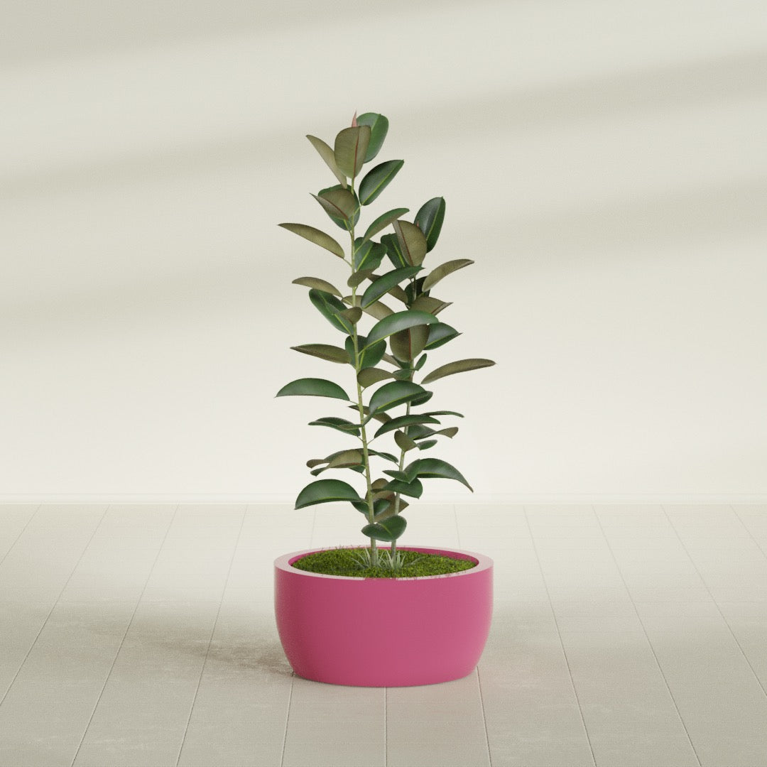Casablanca Medium Round Low Bowl Fiberglass Planter - 24 in x 24 in x 12 in - Gloss Pink Violet - Gloss Pink Violet,24 in x 24 in x 12 in
