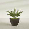 Lima Medium Tapered Square Fiberglass Planter - 20 in x 20 in x 20 in - Matte Brown - Matte Brown,20 in x 20 in x 20 in
