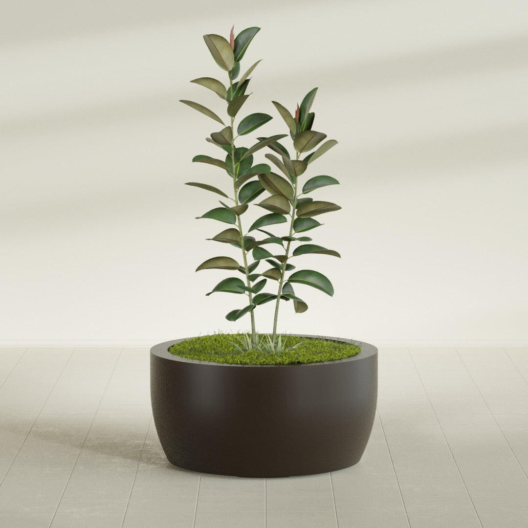 Casablanca Large Round Low Bowl Fiberglass Planter - 36 in x 36 in x 18 in - Matte Brown - Matte Brown,36 in x 36 in x 18 in