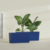Panama Extra Large Long Rectangle Fiberglass Planter - 48 in x 12 in x 18 in - Matte Cobalt Blue - Matte Cobalt Blue,48 in x 12 in x 18 in