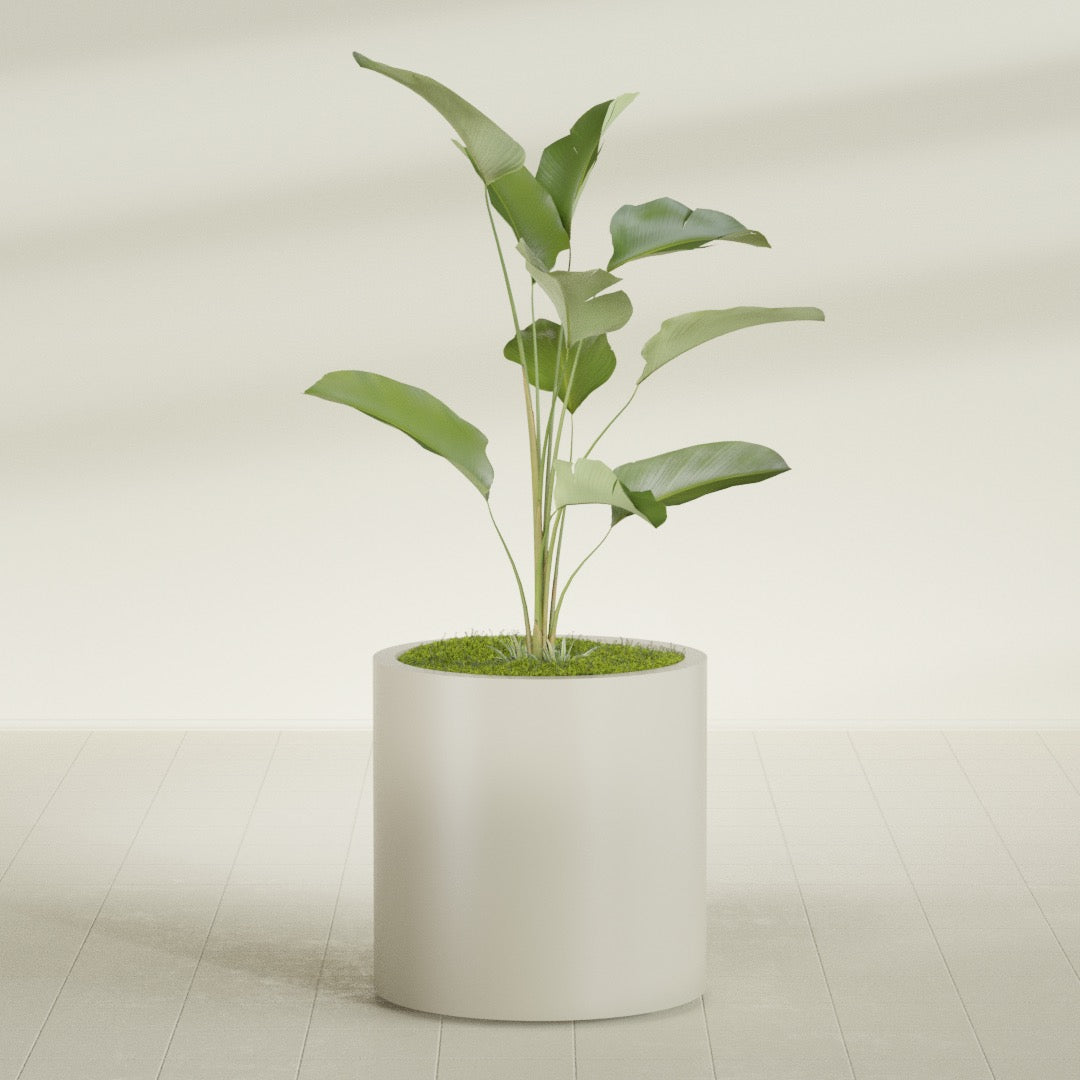 Rio Grande Medium Round Fiberglass Planter - 22 in x 22 in x 22 in - Satin Beige - Satin Beige,22 in x 22 in x 22 in