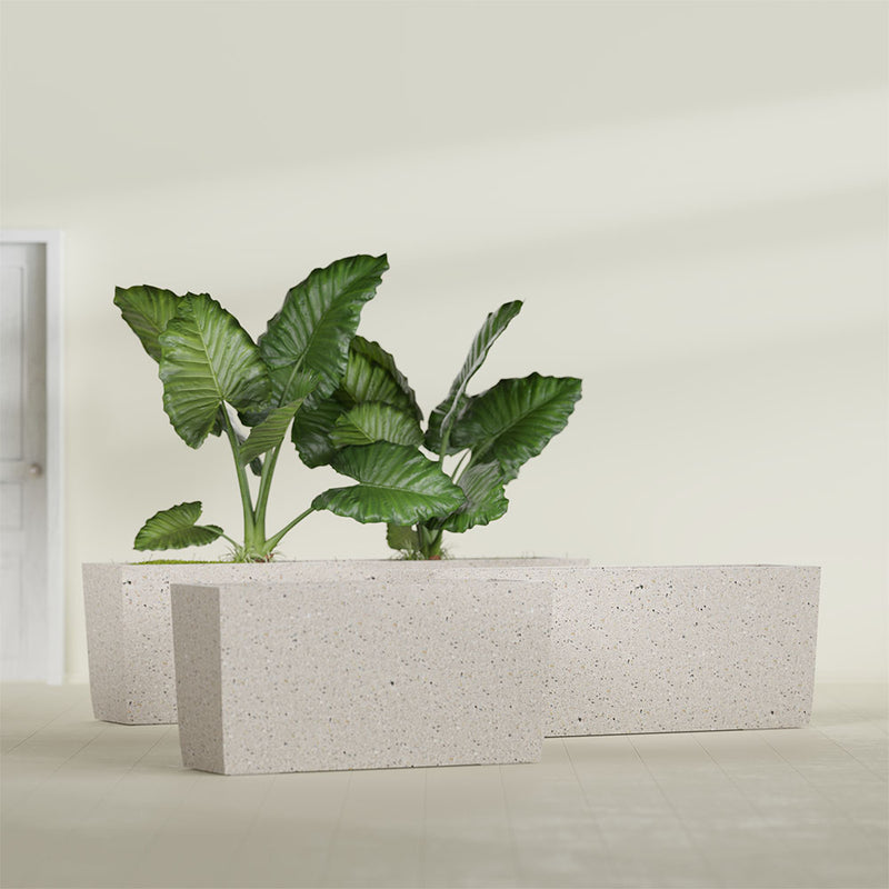 Tapered Rectangle Image