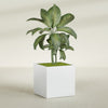 Montroy Large Cube Square Fiberglass Planter - 36 in x 36 in x 36 in - Gloss White - Gloss White,36 in x 36 in x 36 in