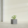 Monaco Square - 7in x 7in x 7 - Metallic Gunmetal - Metallic Gunmetal,7 in x 7 in x 7 in