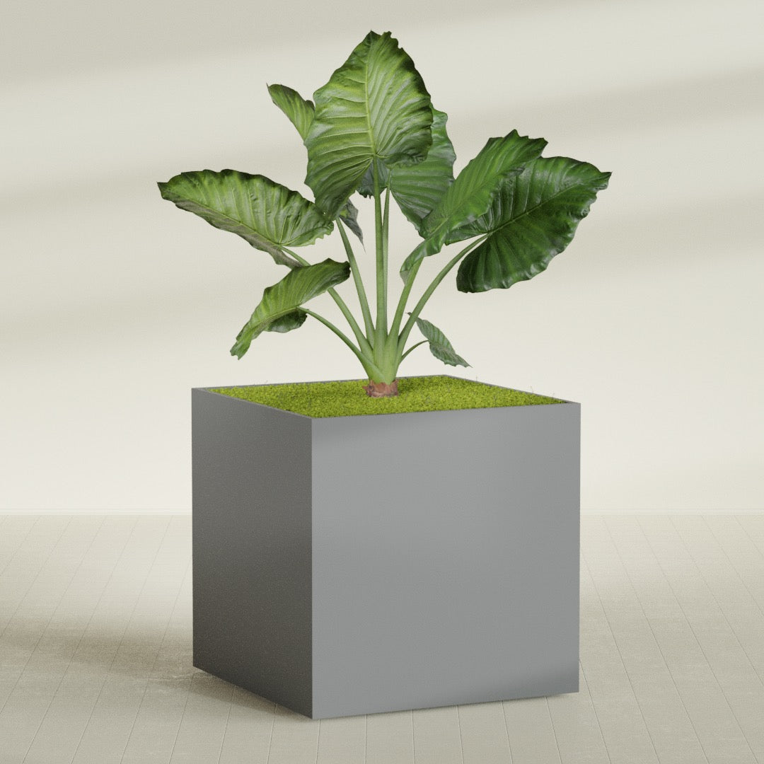 Montroy Extra Large Cube Square Fiberglass Planter - 60 in x 60 in x 60 in - Metallic Gunmetal - Metallic Gunmetal,60 in x 60 in x 60 in