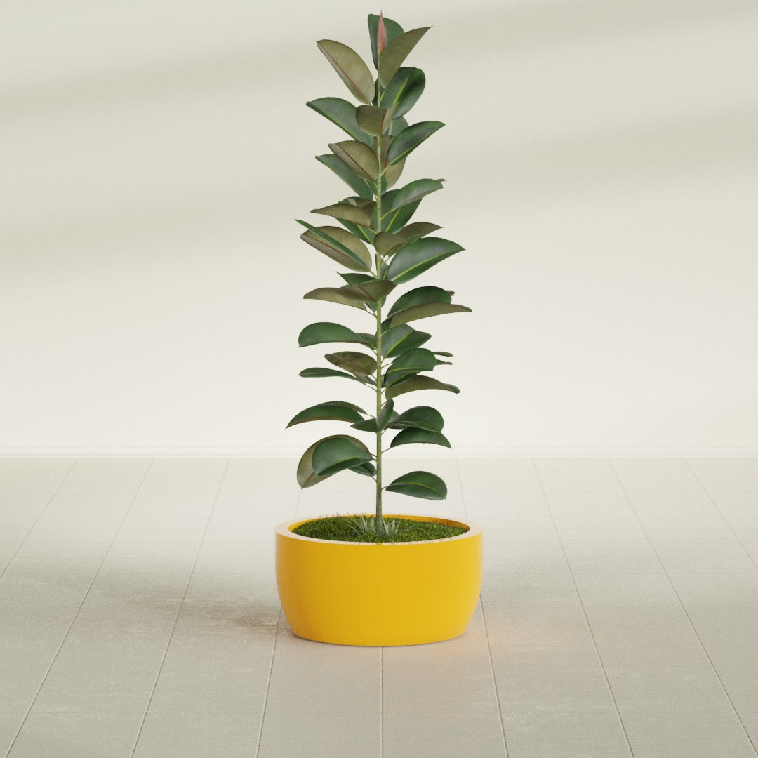 Casablanca Medium Round Low Bowl Fiberglass Planter - 20 in x 20 in x 10 in - Gloss Saffron - Gloss Saffron,20 in x 20 in x 10 in