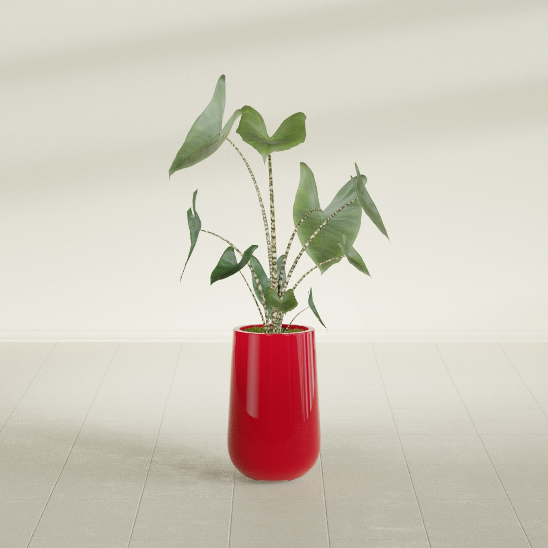 Tall Hayden Medium Round Fiberglass Planter - 18 in x 18 in x 29 in - Gloss Red - Gloss Red,18 in x 18 in x 29 in