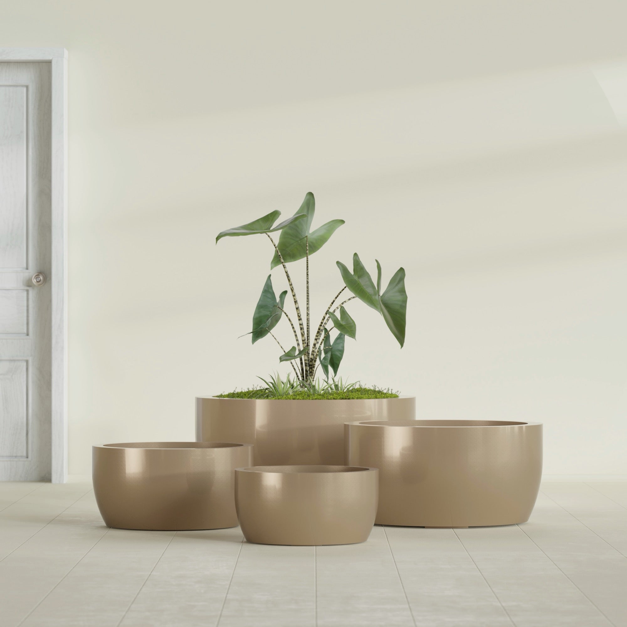 Casablanca Large Round Low Bowl Fiberglass Planter - 36 in x 36 in x 18 in - Metallic Gold - Metallic Gold,36 in x 36 in x 18 in