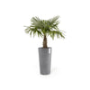 Amsterdam High Large Tall Round Planter - 19.5 in x 19.5 in x 35.5 in - Dark Grey - Dark Grey,19.5 in x 19.5 in x 35.5 in,Planter Only