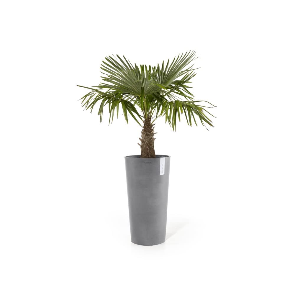 Amsterdam High Large Tall Round Planter - 19.5 in x 19.5 in x 35.5 in - Dark Grey - Dark Grey,19.5 in x 19.5 in x 35.5 in,Planter Only