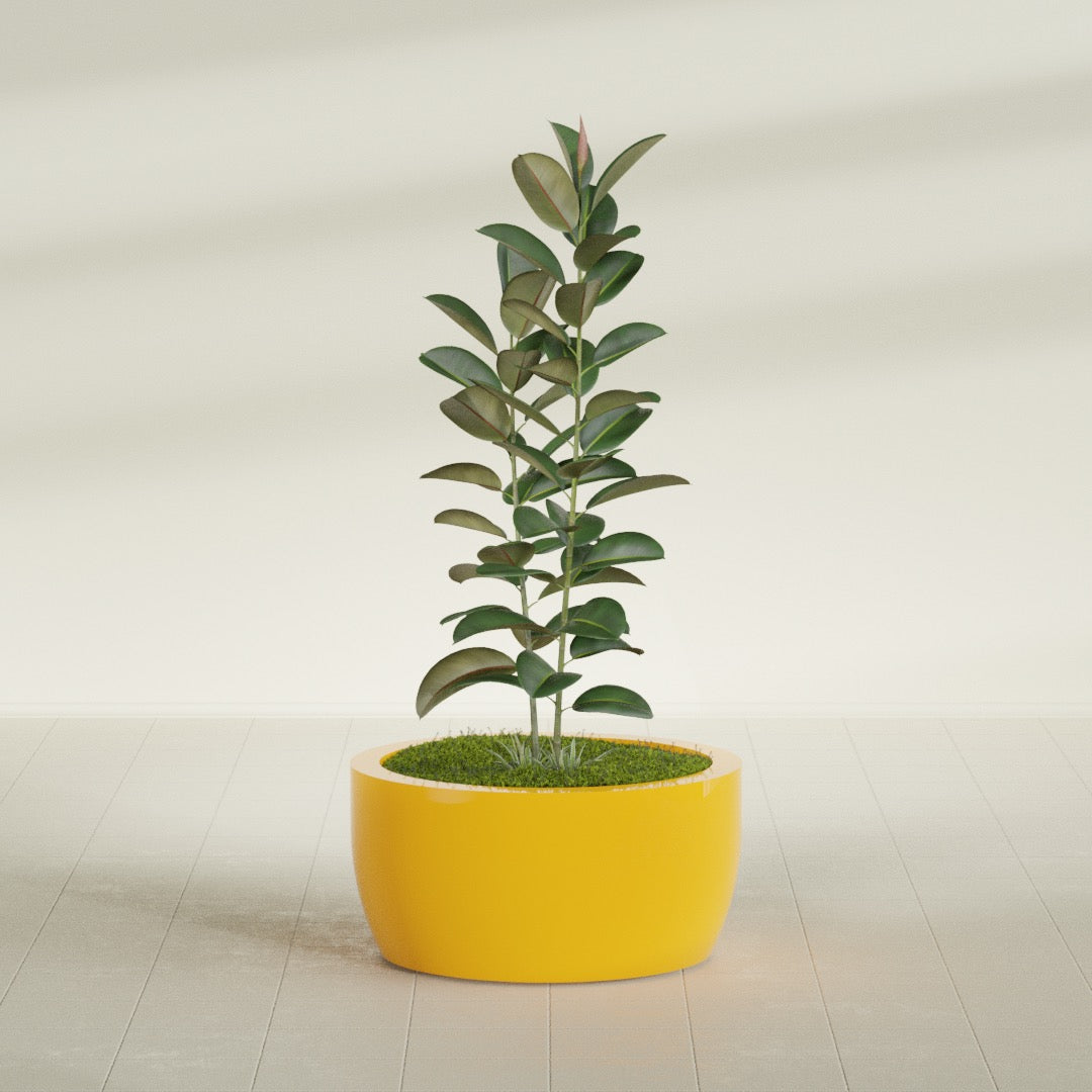 Casablanca Large Round Low Bowl Fiberglass Planter - 30 in x 30 in x 15 in - Gloss Saffron - Gloss Saffron,30 in x 30 in x 15 in