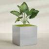 Montroy Extra Large Cube Square Fiberglass Planter - 60 in x 60 in x 60 in - Metallic Silver - Metallic Silver,60 in x 60 in x 60 in