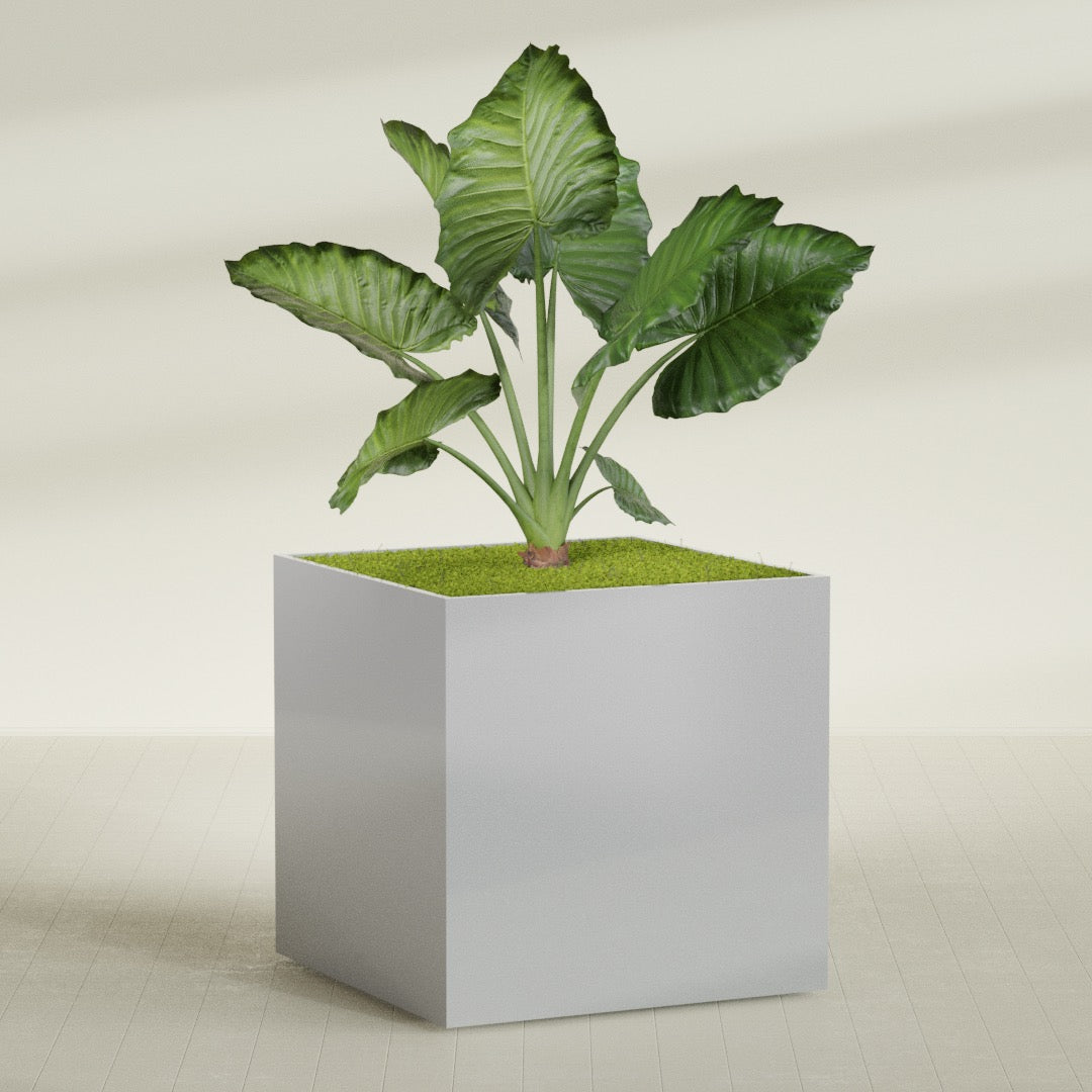Montroy Extra Large Cube Square Fiberglass Planter - 60 in x 60 in x 60 in - Metallic Silver - Metallic Silver,60 in x 60 in x 60 in