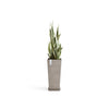Rotterdam Medium Tall Square Planter - 12.6 in x 12.6 in x 27.5 in - Planter + Saucer - Taupe - Taupe,12.5 in x 12.5 in x 27.5 in,Planter + Saucer
