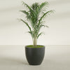 Wannsee Large Round Fiberglass Planter - 33 in x 33 in x 29 in - Matte Charcoal - Matte Charcoal,33 in x 33 in x 29 in