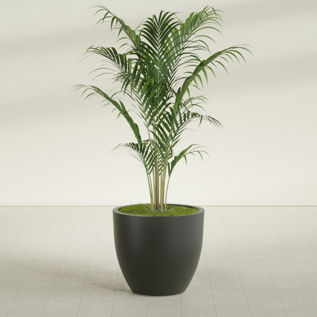 Wannsee Large Round Fiberglass Planter - 33 in x 33 in x 29 in - Matte Charcoal - Matte Charcoal,33 in x 33 in x 29 in