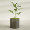 Rio Grande Medium Round Fiberglass Planter - 22 in x 22 in x 22 in - Matte Bronze - Matte Bronze,22 in x 22 in x 22 in