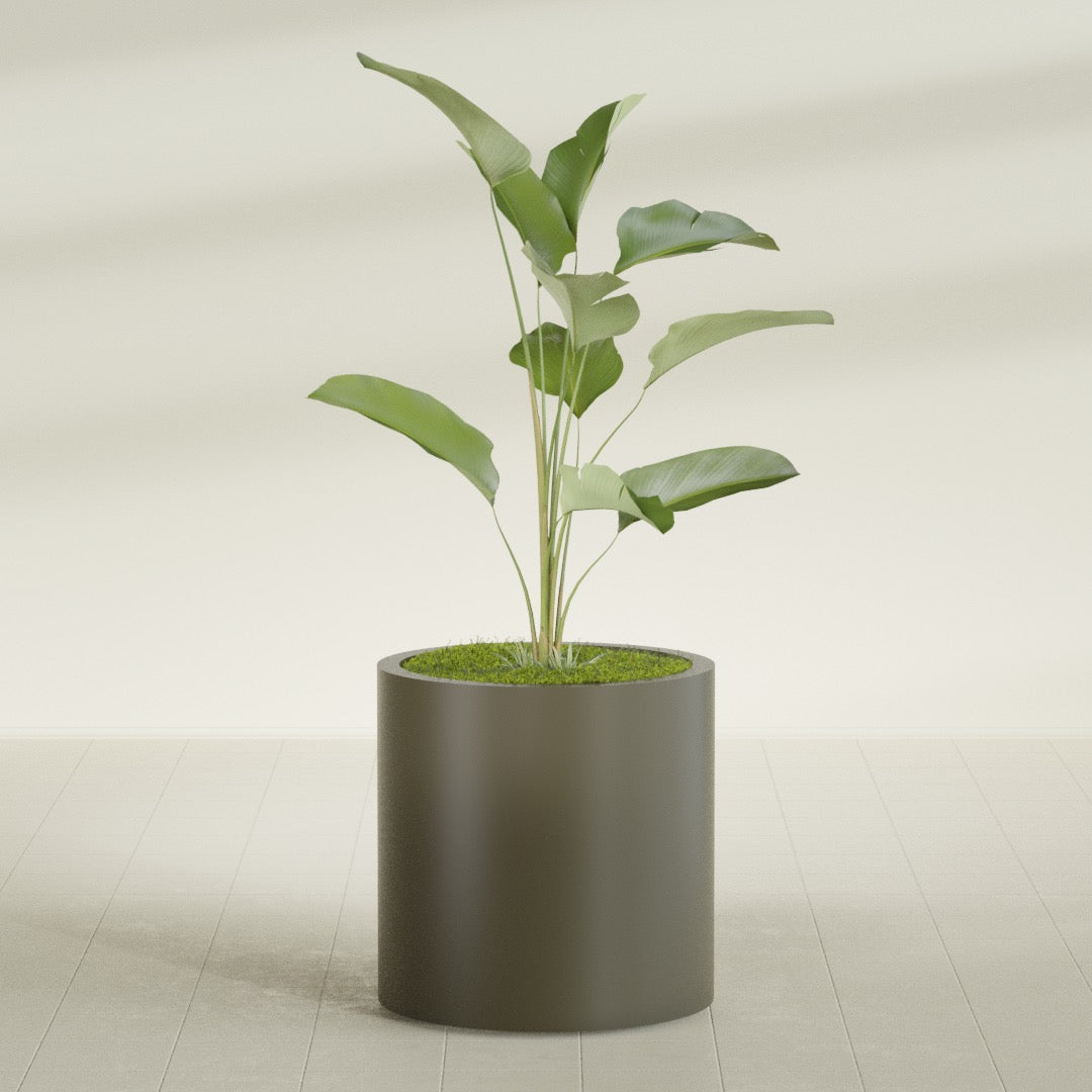 Rio Grande Medium Round Fiberglass Planter - 22 in x 22 in x 22 in - Matte Bronze - Matte Bronze,22 in x 22 in x 22 in