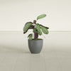 Wannsee Small Round Fiberglass Planter - 15 in x 15 in x 13 in - Metallic Gunmetal - Metallic Gunmetal,15 in x 15 in x 13 in