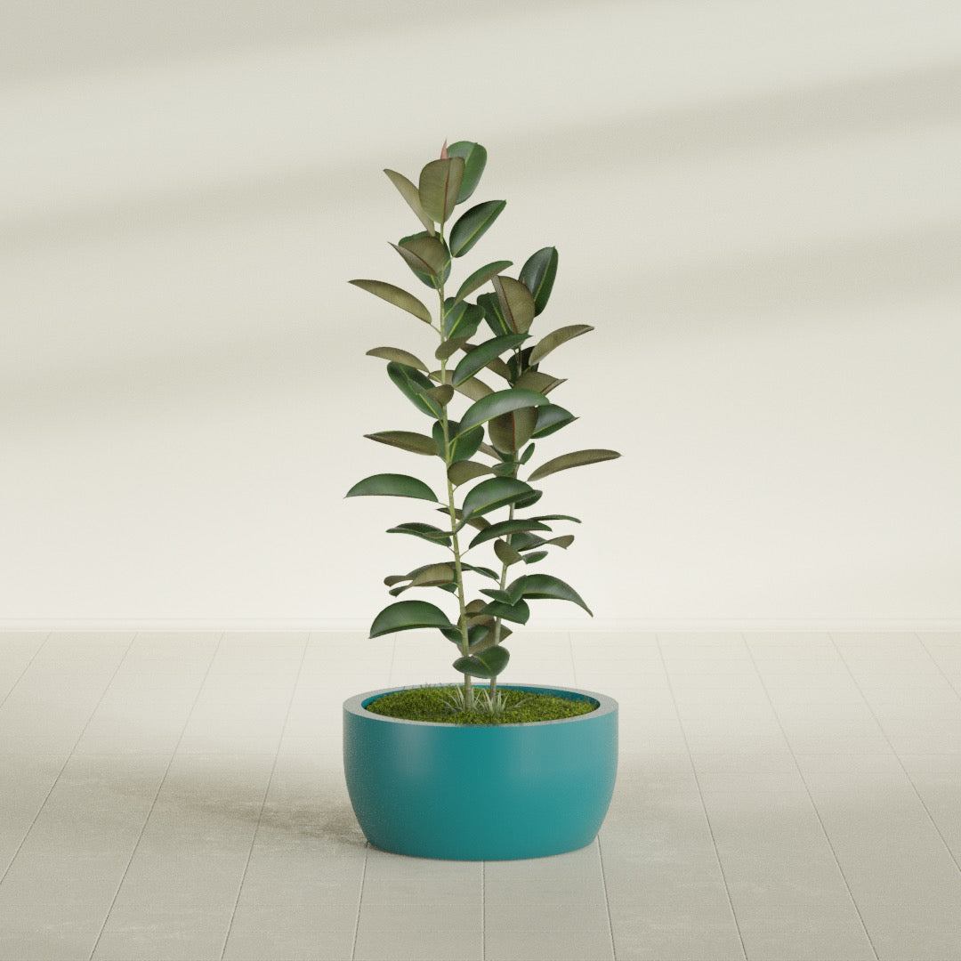 Casablanca Medium Round Low Bowl Fiberglass Planter - 24 in x 24 in x 12 in - Satin Sea Foam - Satin Sea Foam,24 in x 24 in x 12 in