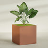 Montroy Extra Large Cube Square Fiberglass Planter - 60 in x 60 in x 60 in - Matte Terracotta - Matte Terracotta,60 in x 60 in x 60 in
