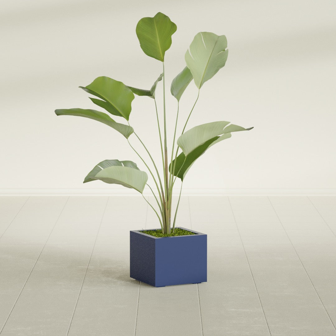 Cuba Small Fiberglass Column Planter - 14 in x 14 in x 12 in - Matte Cobalt Blue - Matte Cobalt Blue,14 in x 14 in x 12 in