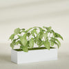 Reade Small Tabletop Rectangle Fiberglass Planter - 18 in x 6.5 in x 5 in - Gloss White - Gloss White,18.5 in x 6.5 in x 5 in