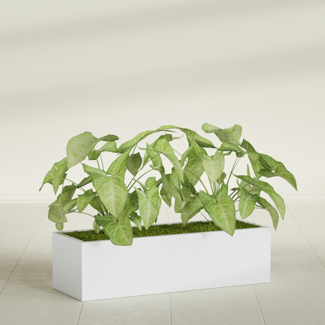Reade Small Tabletop Rectangle Fiberglass Planter - 18 in x 6.5 in x 5 in - Gloss White - Gloss White,18.5 in x 6.5 in x 5 in