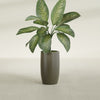 Lisbon Medium Round Fiberglass Planter - 14 in x 14 in x 25 in - Matte Bronze - Matte Bronze,14 in x 14 in x 25 in