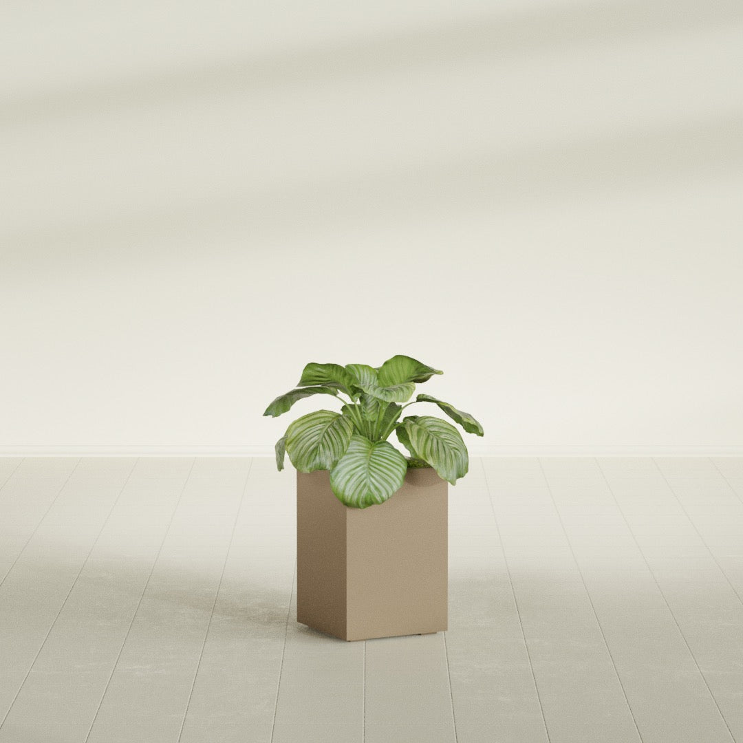 Miami Small Rectangle Fiberglass Planter - 12 in x 12 in x 18 in - Metallic Gold - Metallic Gold,12 in x 12 in x 18 in