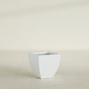 Lima Small Tapered Square Fiberglass Planter - 16 in x 16 in x 16 in - Gloss White - Gloss White,16 in x 16 in x 16 in