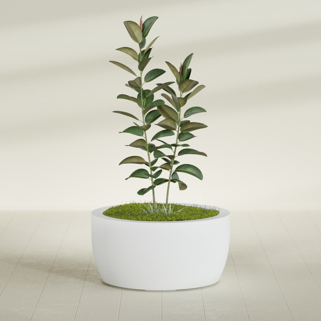 Casablanca Large Round Low Bowl Fiberglass Planter - 36 in x 36 in x 18 in - Gloss White - Gloss White,36 in x 36 in x 18 in