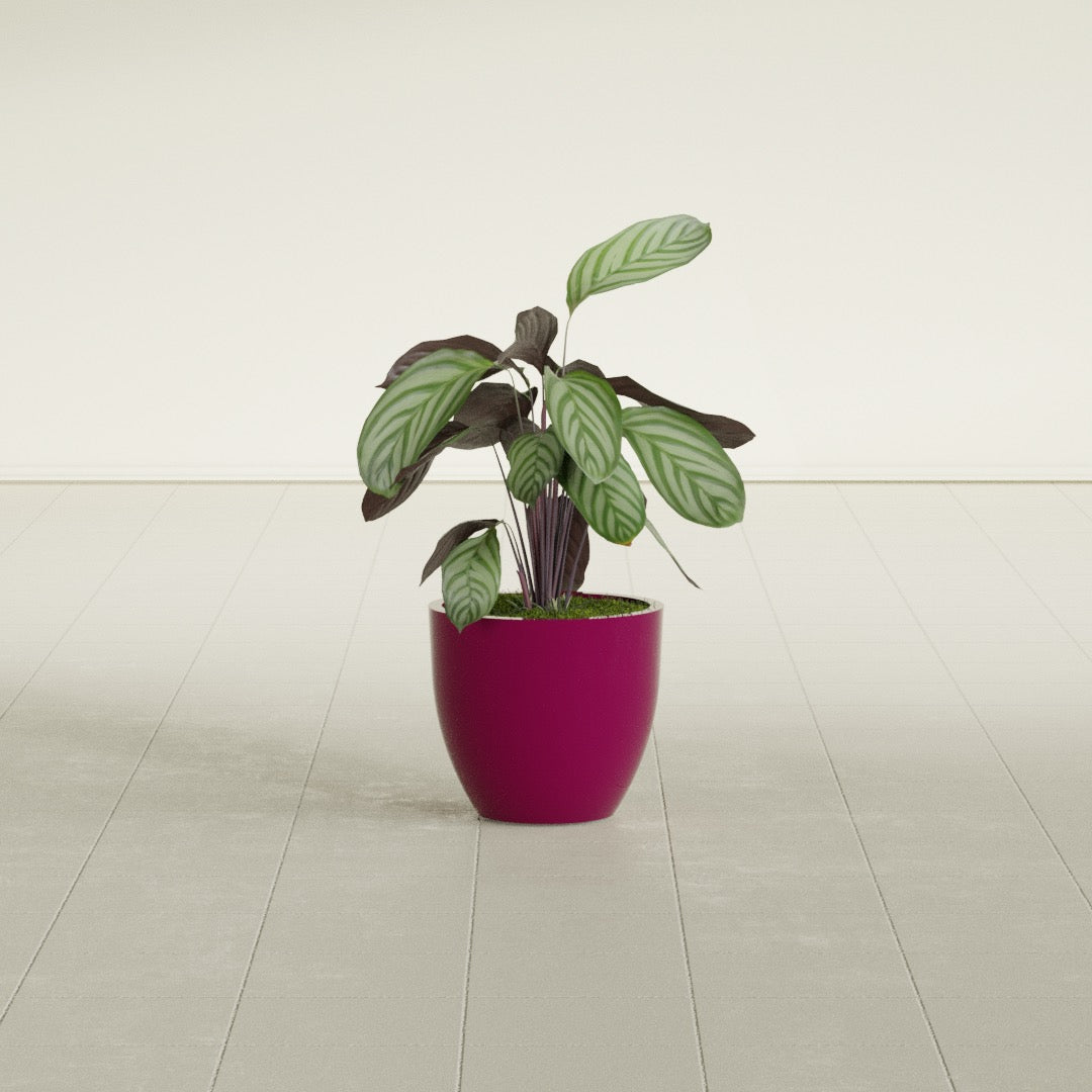 Wannsee Small Round Fiberglass Planter - 15 in x 15 in x 13 in - Gloss Eggplant - Gloss Eggplant,15 in x 15 in x 13 in
