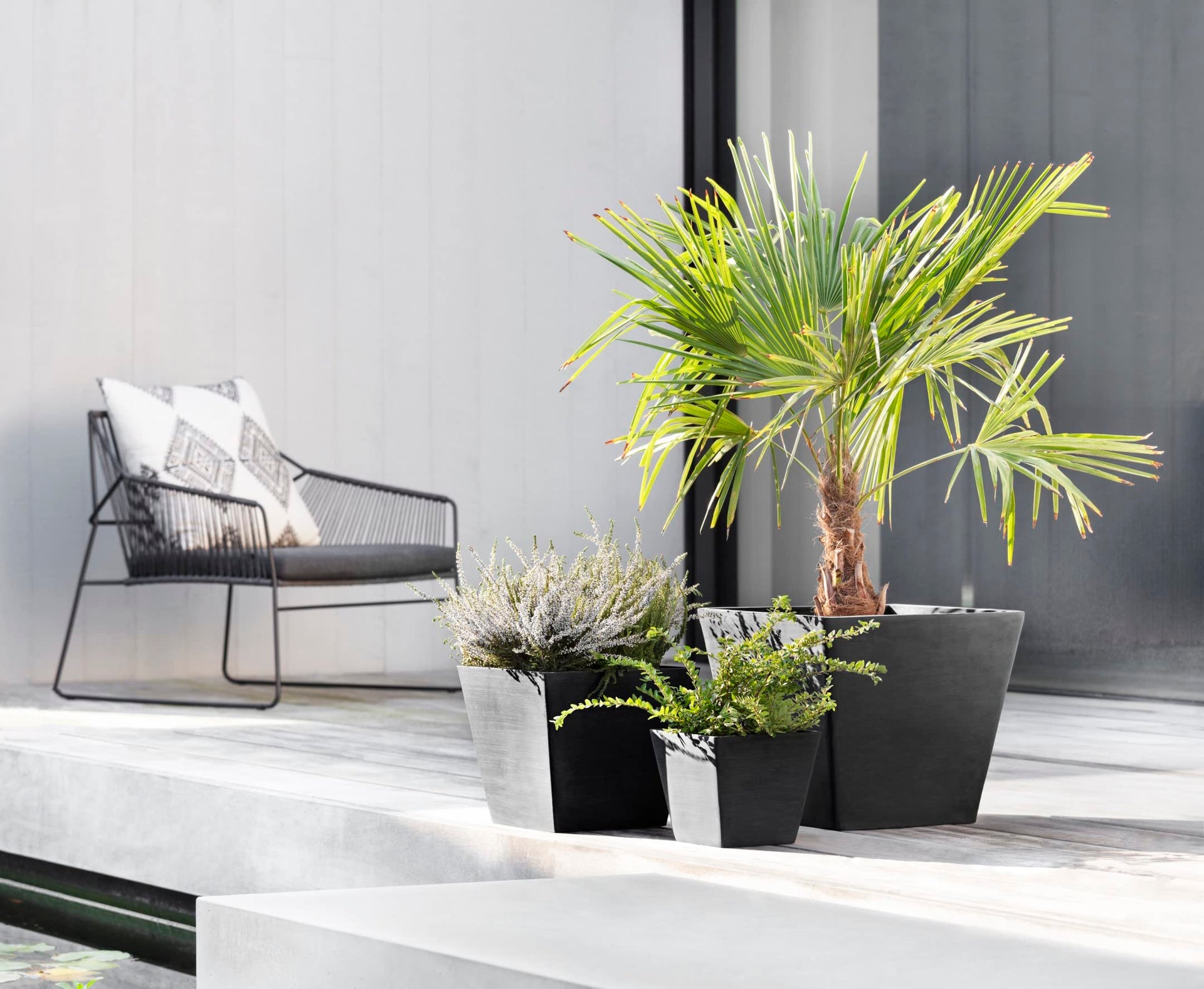 Rotterdam Small Square Planter - 8 in x 8 in x 7 in - Dark Grey - Dark Grey,8 in x 8 in x 7 in,Planter Only
