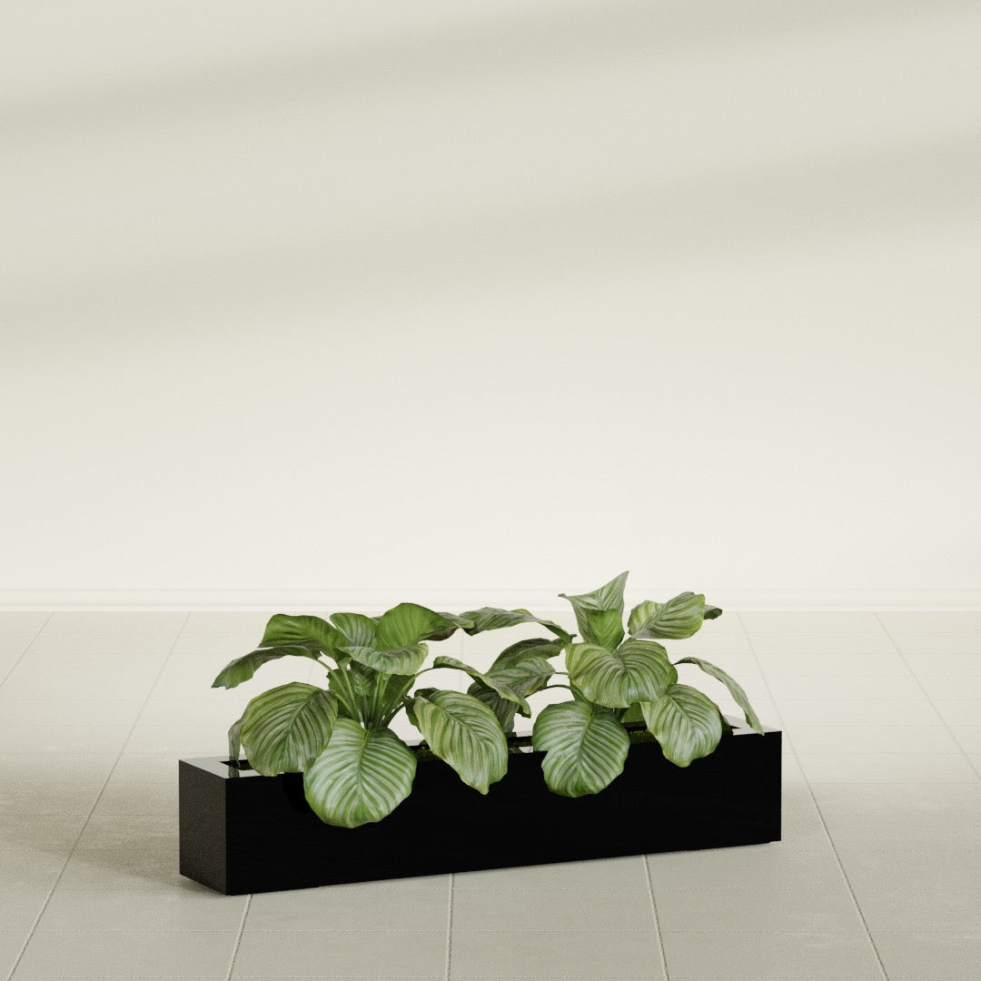 Salon Large Tall Rectangle Fiberglass Planter - 42 in x 8 in x 8 in - Gloss Black - Gloss Black,42 in x 8 in x 8 in