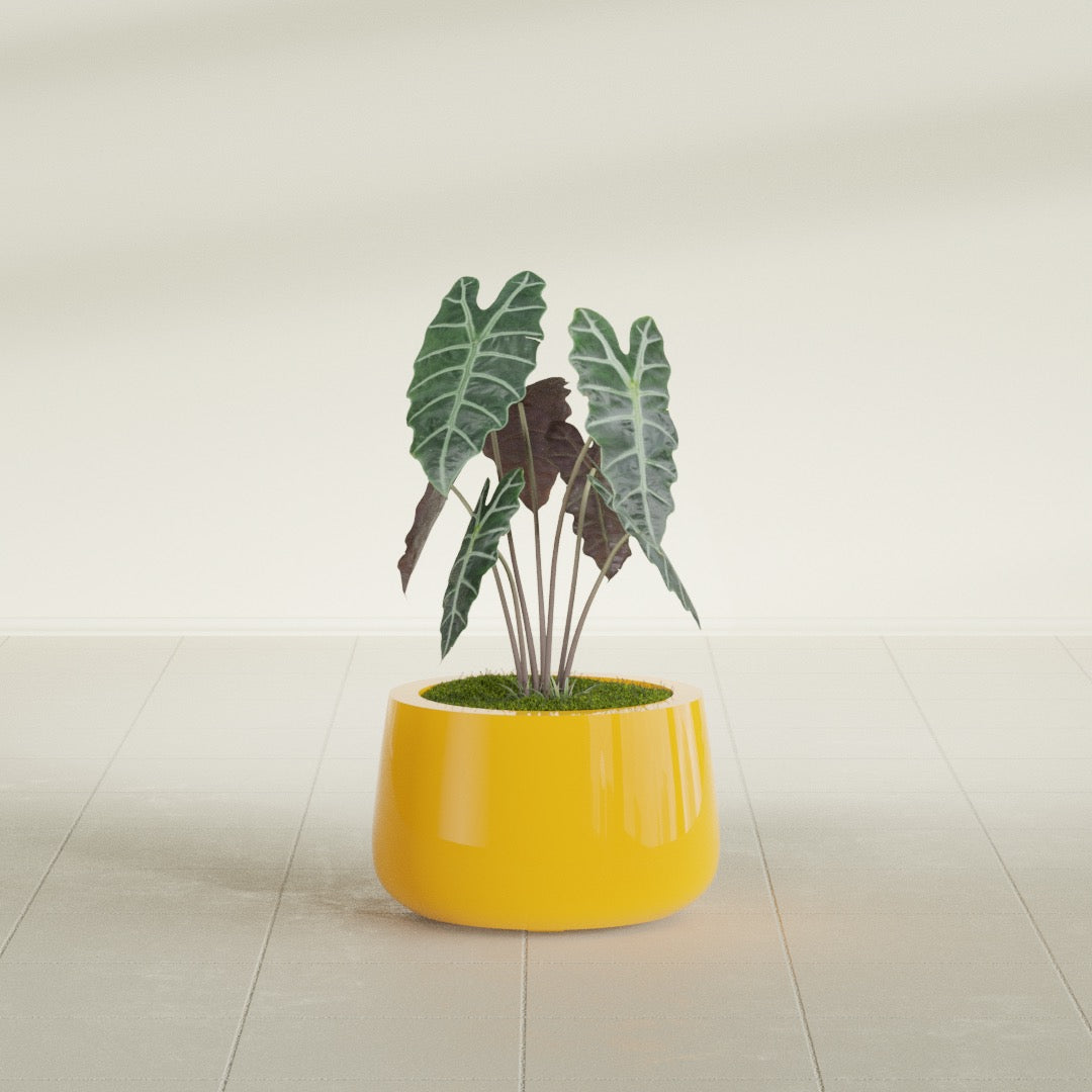 Short Hayden Small Round Fiberglass Planter - 12 in x 12 in x 7 in - Gloss Saffron - Gloss Saffron,12 in x 12 in x 7 in