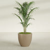 Wannsee Large Round Fiberglass Planter - 33 in x 33 in x 29 in - Metallic Gold - Metallic Gold,33 in x 33 in x 29 in