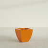 Lima Small Tapered Square Fiberglass Planter - 16 in x 16 in x 16 in - Gloss Tangerine - Gloss Tangerine,16 in x 16 in x 16 in