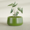 Short Hayden Medium Round Fiberglass Planter - 20 in x 20 in x 10 in - Satin Green - Satin Green,20 in x 20 in x 10 in