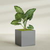 Montroy Extra Large Cube Square Fiberglass Planter - 48 in x 48 in x 48 in - Metallic Gunmetal - Metallic Gunmetal,48 in x 48 in x 48 in