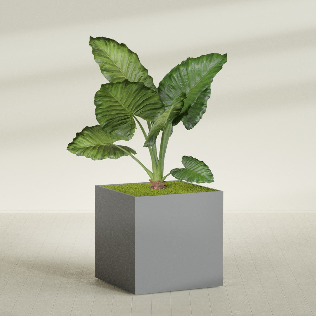 Montroy Extra Large Cube Square Fiberglass Planter - 48 in x 48 in x 48 in - Metallic Gunmetal - Metallic Gunmetal,48 in x 48 in x 48 in