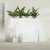 Hollywood Large Narrow Rectangle Fiberglass Planter - 36 in x 12 in x 24 in - Gloss White - Gloss White,36 in x 12 in x 24 in